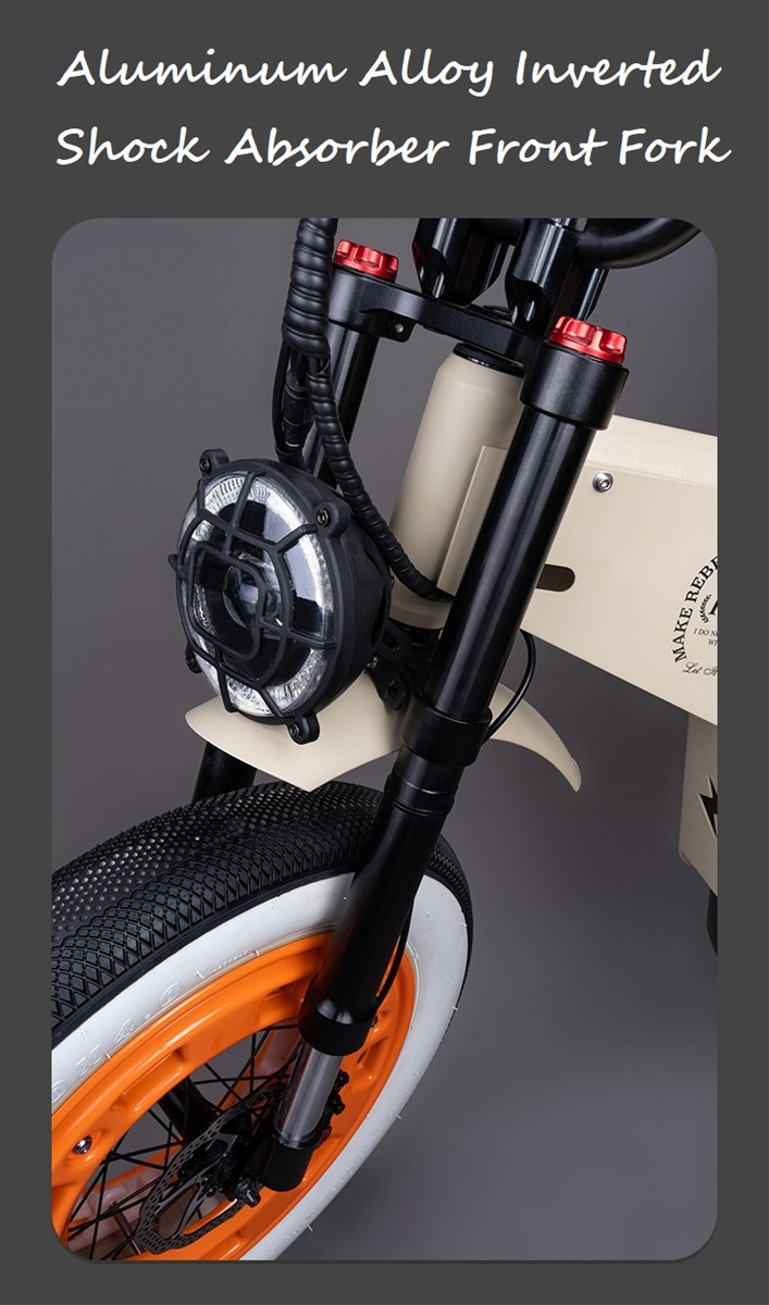 Good Selling 48V750W motor 7 speed electric bicycle with Disc Brake