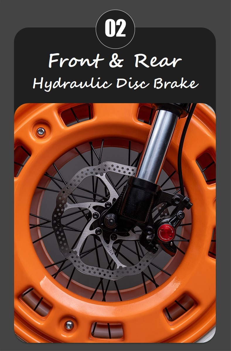 Good Selling 48V750W motor 7 speed electric bicycle with Disc Brake