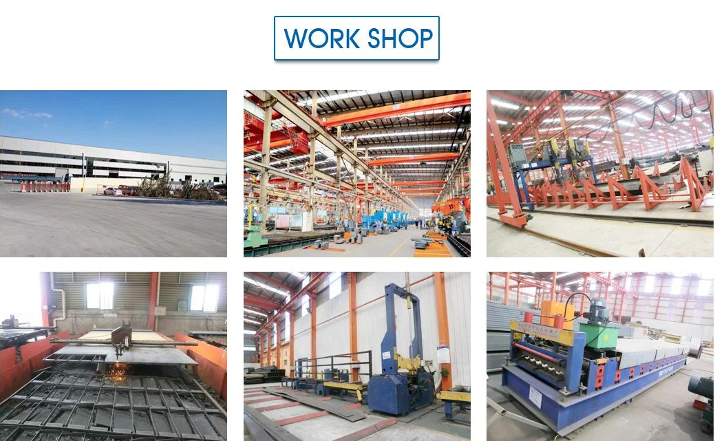 Custom Design Easy Assemble Steel Structure Workshops and Warehouse