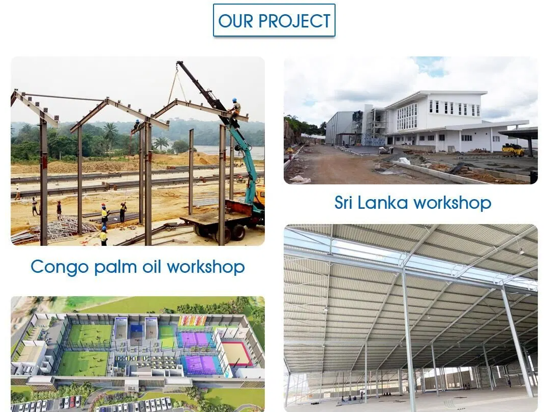 Custom Design Easy Assemble Steel Structure Workshops and Warehouse