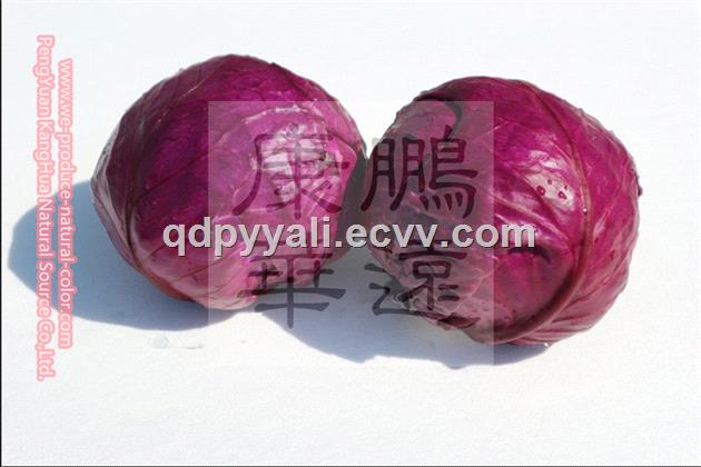 cabbage red extract for coloring food