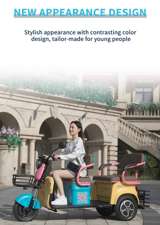 Factory Custom Scooter Elderly Electric Tricycle with Passenger Seat