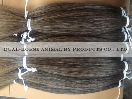 Manufacturers selling all kinds of fiddle bow hairhorse tail hair