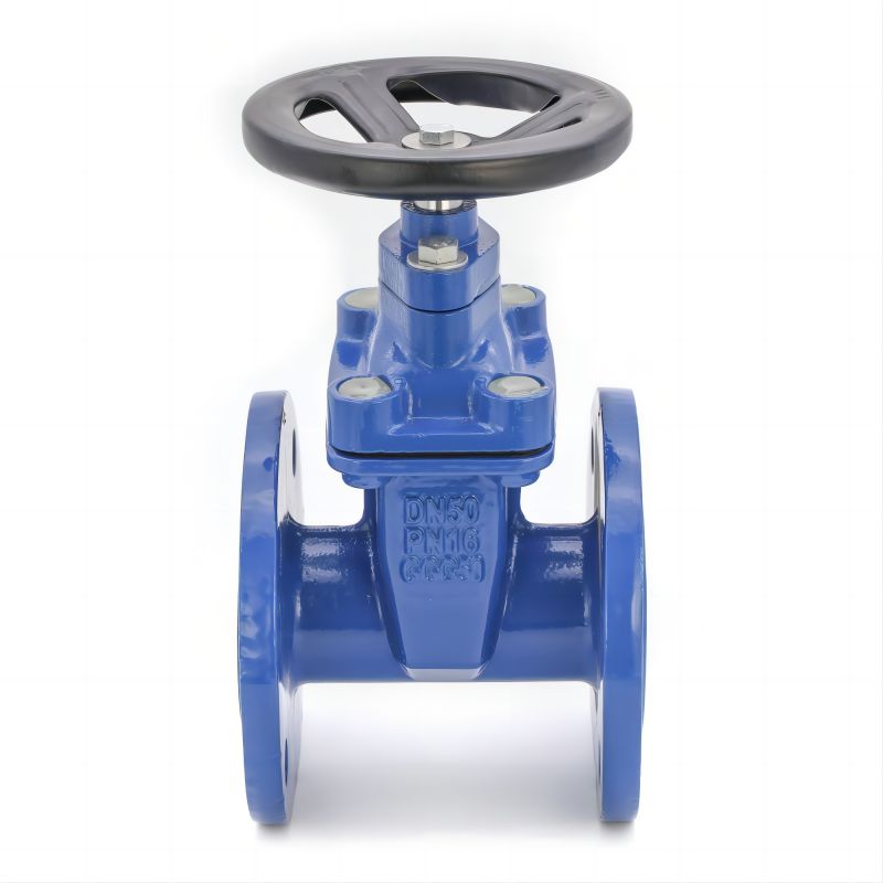 DIN3352 F4 Resilient Seat Flanged Gate Valve
