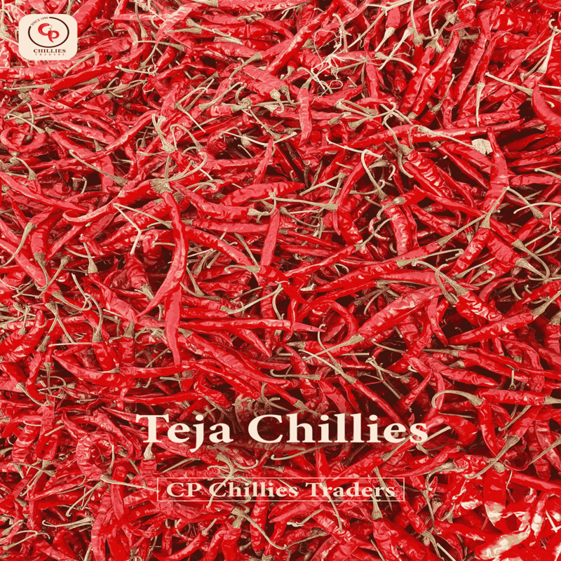 Teja super spicy dry hotred chillies from cp chillies traders