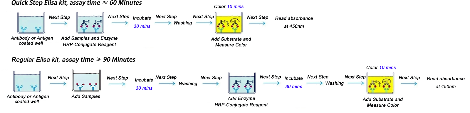 Quick Step ELISA Kit for Galectin3 in Human