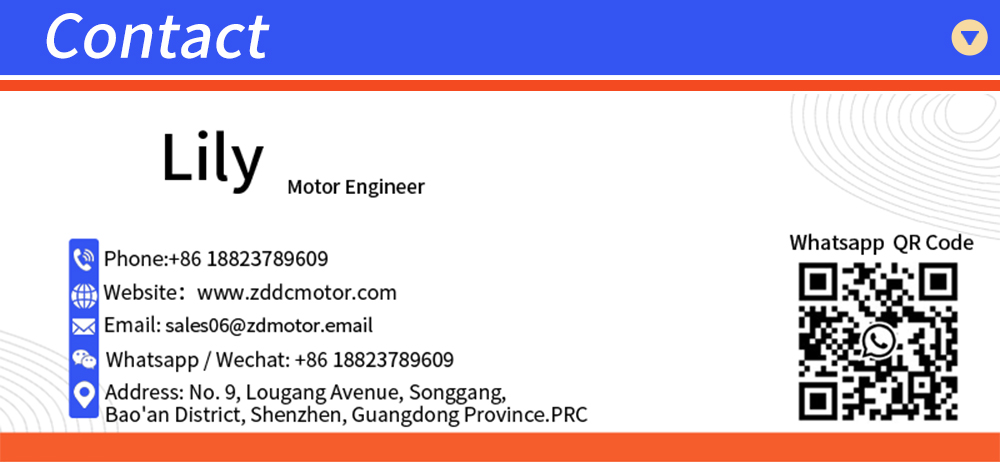 Brushless DC Motor Mini Micro Brushless Motor BLDC Manufacturer Customizable