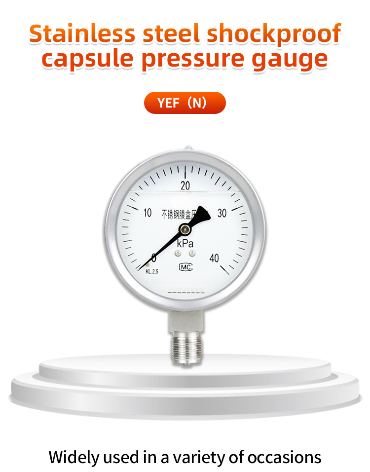 Stainless steel high pressure capsule pressure gaugecapsule pressure gauges China factory