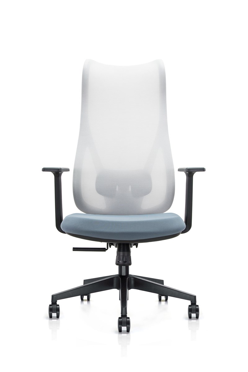 Hot Sell Mesh Ergonomic Office Managing Chair