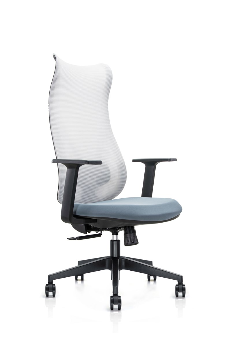 Hot Sell Mesh Ergonomic Office Managing Chair