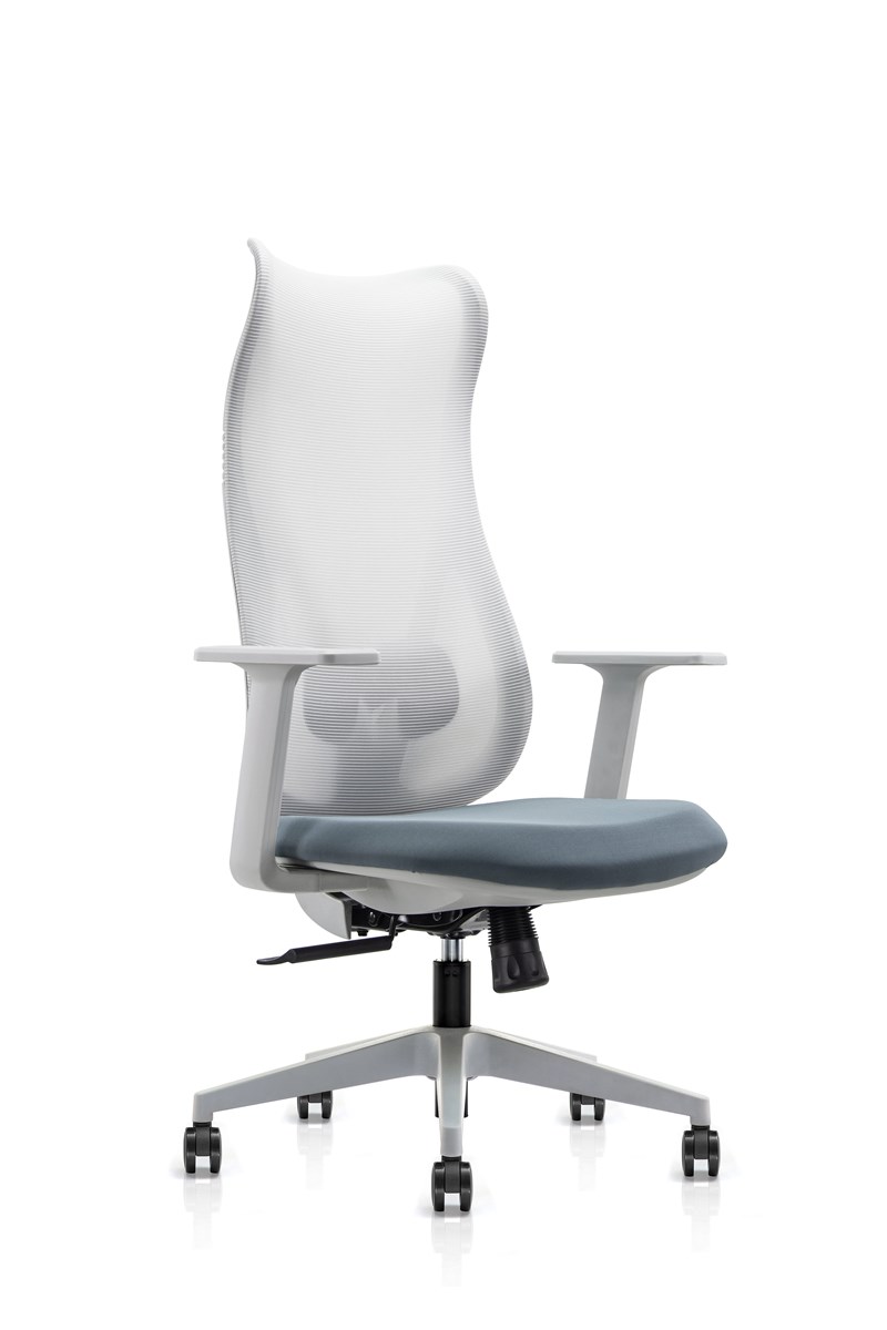 Hot Sell Mesh Ergonomic Office Managing Chair