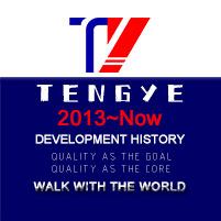 Dongguan Tengye Rubber & Plastic Co., Ltd.