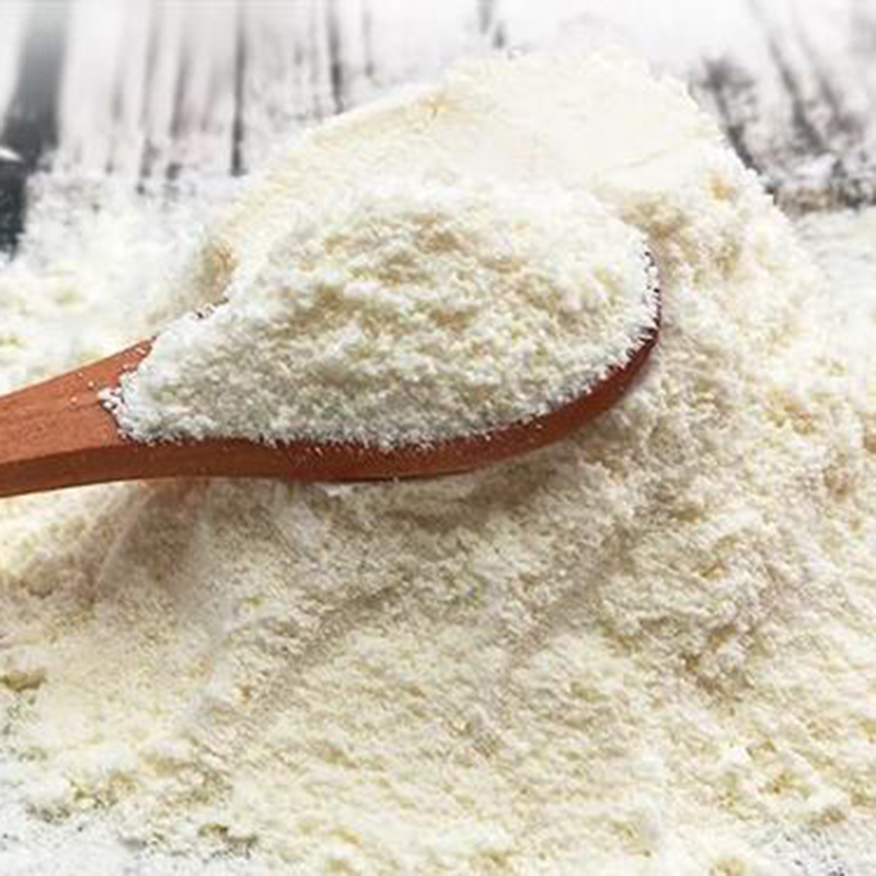 Organic Whole Camel Milk Powder