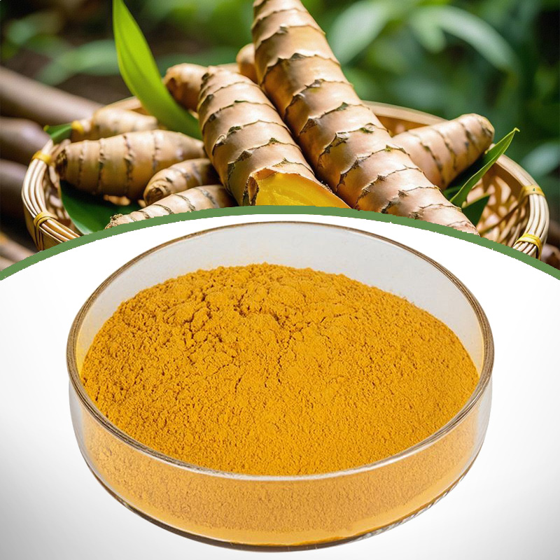 Turmeric Extract manufacture supplier B2B