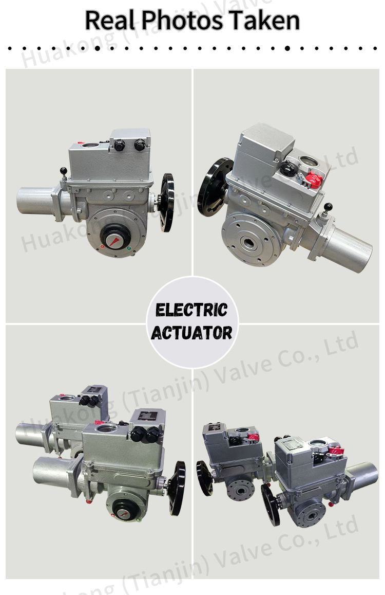 BS60K30Z Bernard angle stroke industrial automatic electric actuator BS60F30Z