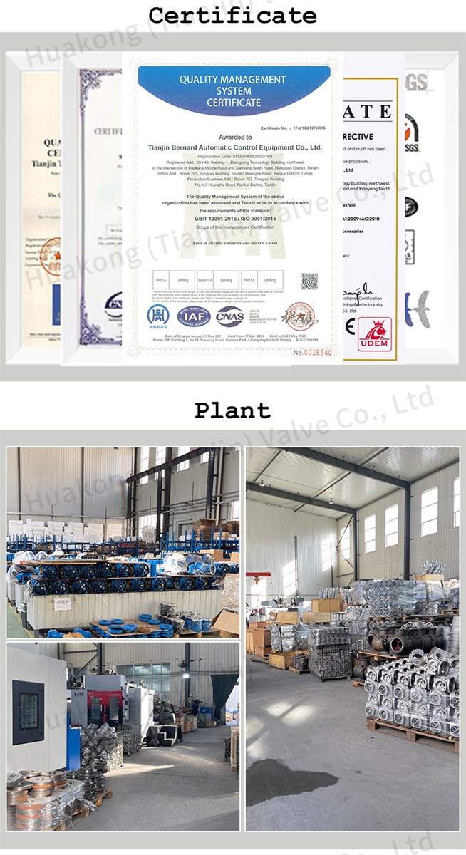 BS60K30Z Bernard angle stroke industrial automatic electric actuator BS60F30Z