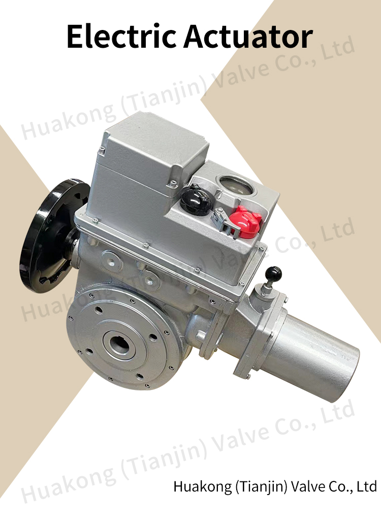 BS60K30Z Bernard angle stroke industrial automatic electric actuator BS60F30Z