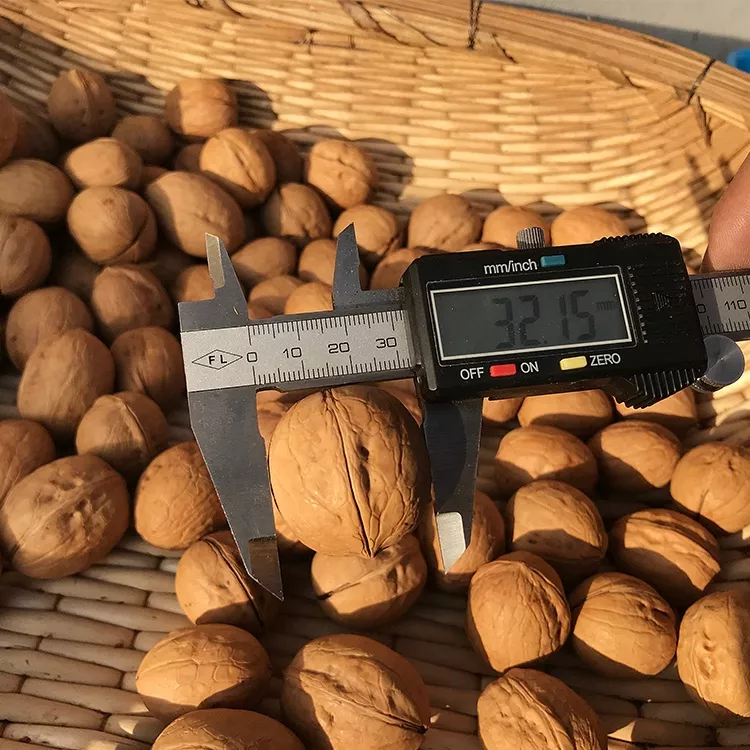 Original top quality organic health 185 walnuts in shell