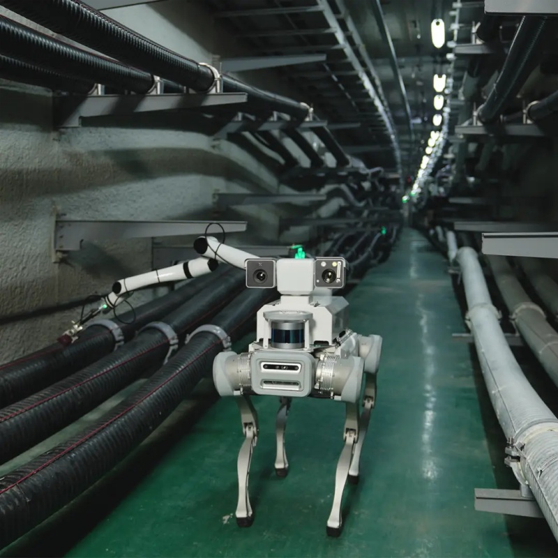 Robot Dog Embodied Intelligence Robot Dog