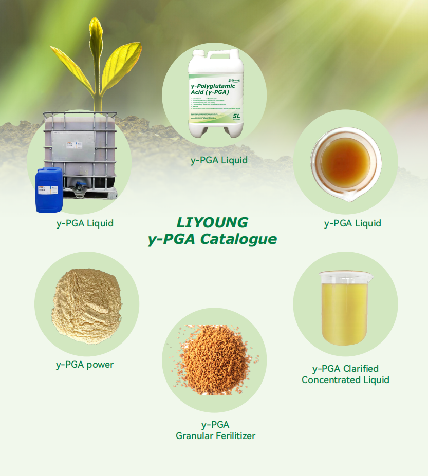 5 Amino Acid Peptides Small Granule Polyglutamic Acid