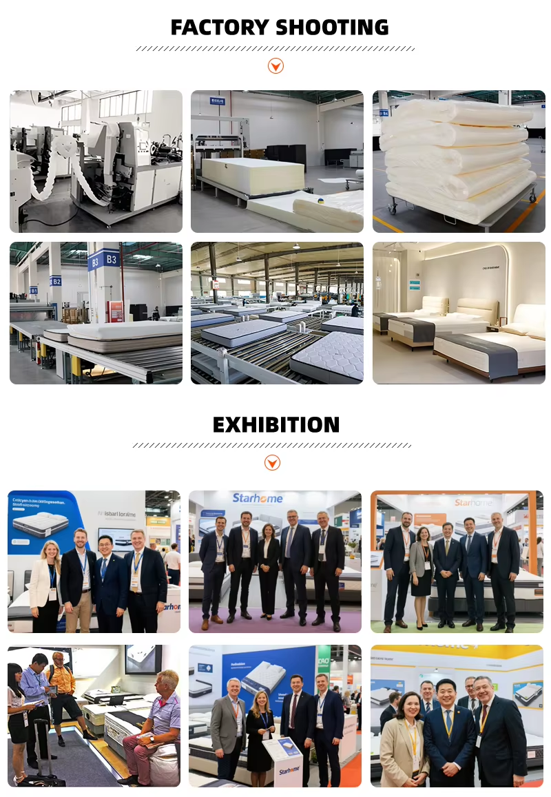 Compressed Foam Spring School Bed Queen Gel Memory Foam Mattress King Size Mattress