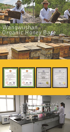 all kinds of bee products yellow white beeswax block pellet fresh royal jelly powder capsule