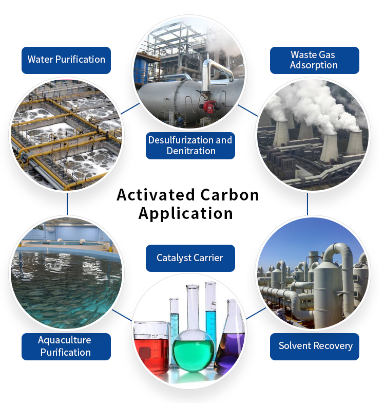 Granular Coal Based Activated Carbon Columnar Anthracite Active Charcoal for Drinking Water Treatment