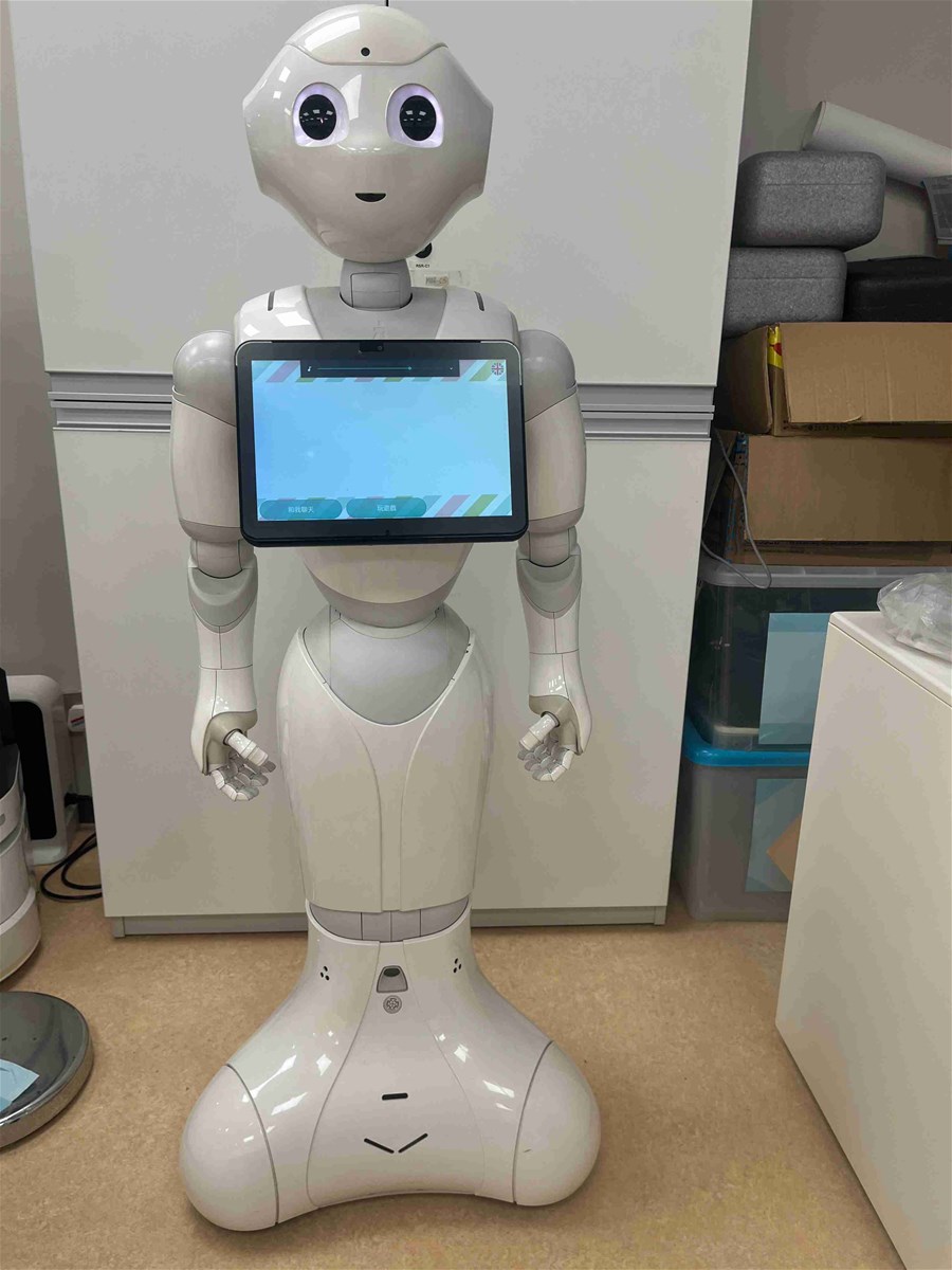 Service Robot Pepper Nao Cruzr